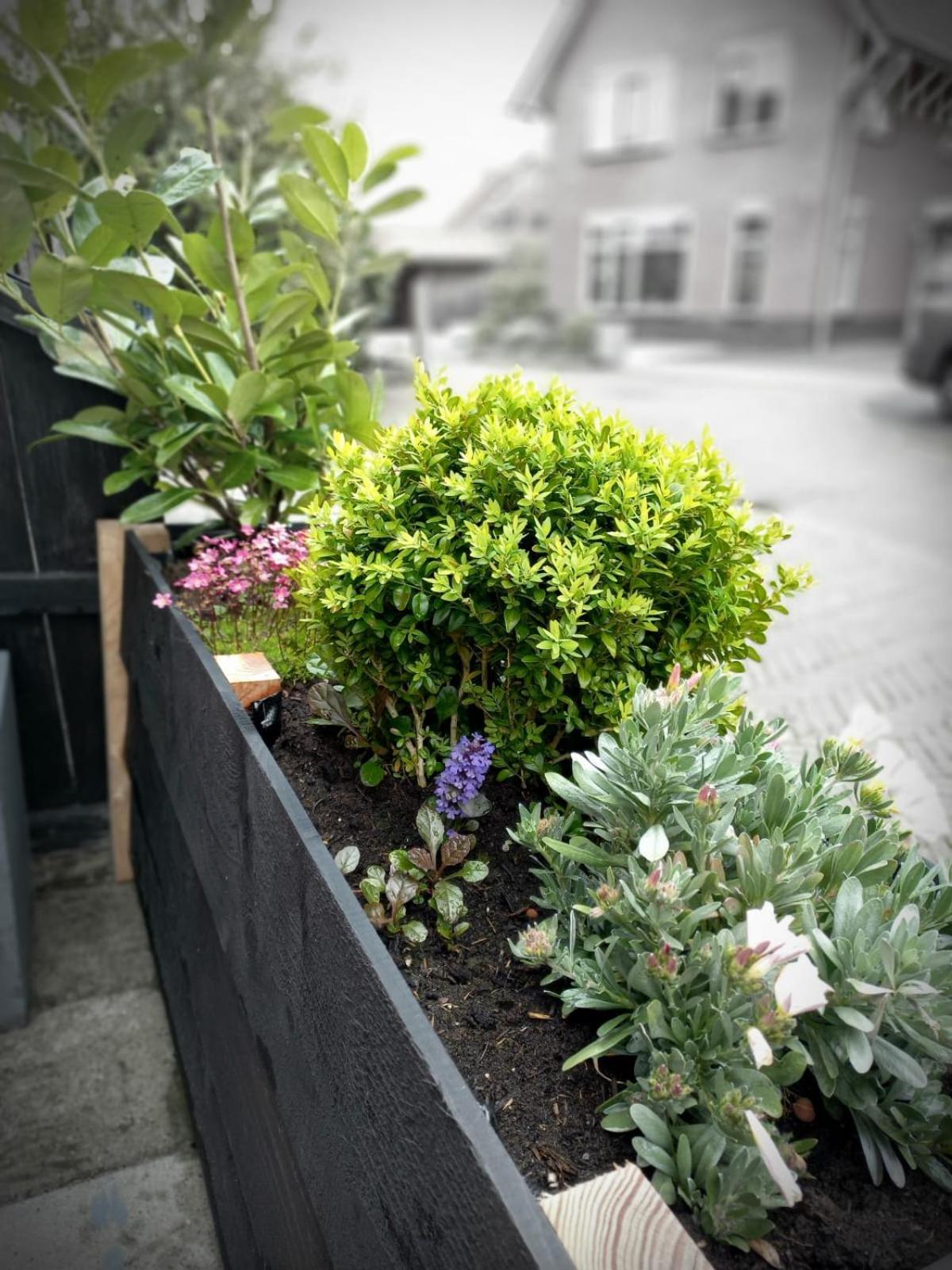 Bed & Breakfast De Schans Makkum Luaran gambar